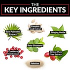 Prostate - Stinging Nettle, Saw Palmetto, Beta-Sitosterol - Urinary Tract Health