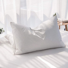 Luxury Feathers Down Pillows Standard Size Set of 2, Hotel Quality Fluffy Bed Pi