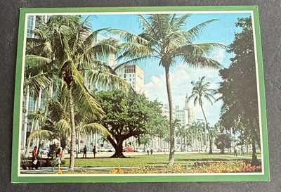 Postcard:  Looking from Bayfront Park Biscayne Blvd. ~ Miami, Florida