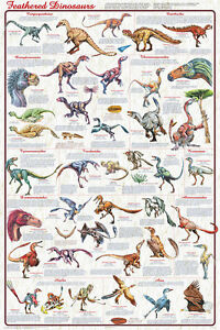 Dinosaur Chart Poster