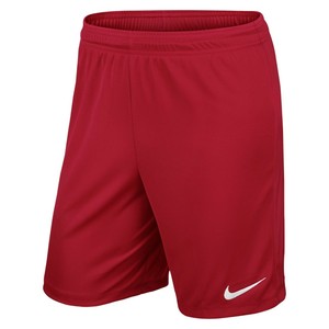 nike dri fit shorts junior