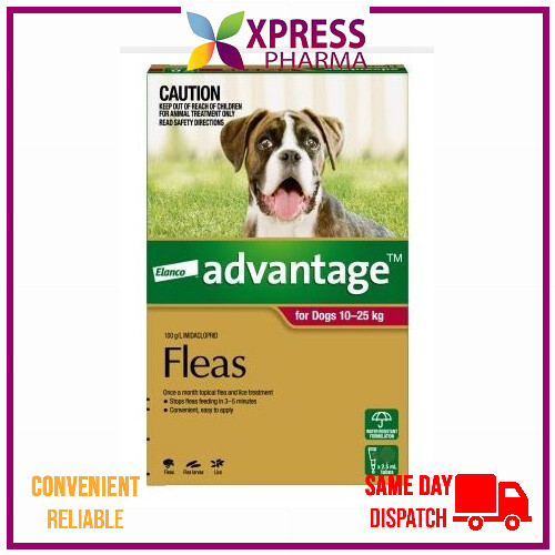 Advantage Flea Treatment for Large Dogs 10-25kg - Picture 9 of 10