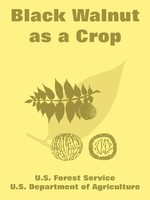Black Walnut As A Crop | U. S. Forest Service (U. A.) | Taschenbuch | Englisch