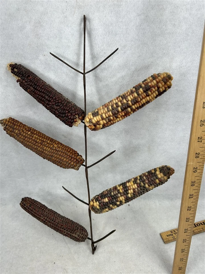 антикварная кукурузная сушилка железная металлическая стойка ферма примитивный подвес с ушами оригинал 1800 - Изображение 2 из 4