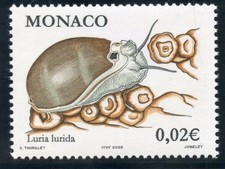 TIMBRE DE MONACO N° 2327 ** FAUNE / POISSONS ET COQUILLAGES / LURIA LURIDA