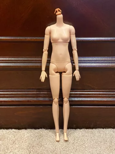 NEW_Body_Barbie doll Signature Looks Model #19 Asian Lina_TALL_Pale_Made To Move