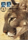 Dr Jim Stamps Maximum Card Cougar 26C Pair Fdc Bifold
