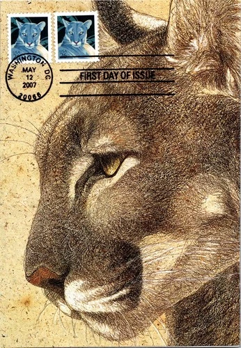 Dr Jim Stamps Maximum Card Cougar 26C Pair Fdc Bifold