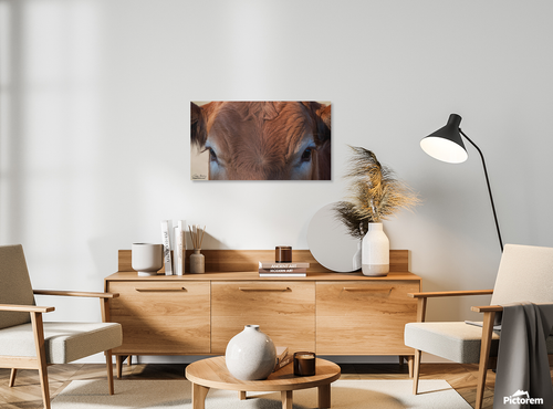 Photography Print Cow Eyes, The Eyes Have It - Picture 2 of 11