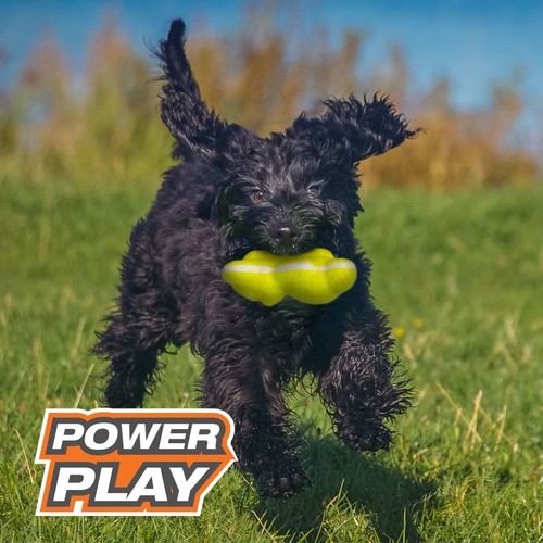 Nylabone Power Play Tennis Teddy Gripz Bear Dog Toy, Medium - Picture 3 of 6