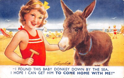 BAMFORTH SEASIDE KIDDY POSTKARTE ESEL TAYLOR GEBRAUCHT UNBENUTZT GD PLUS SEHR GUT