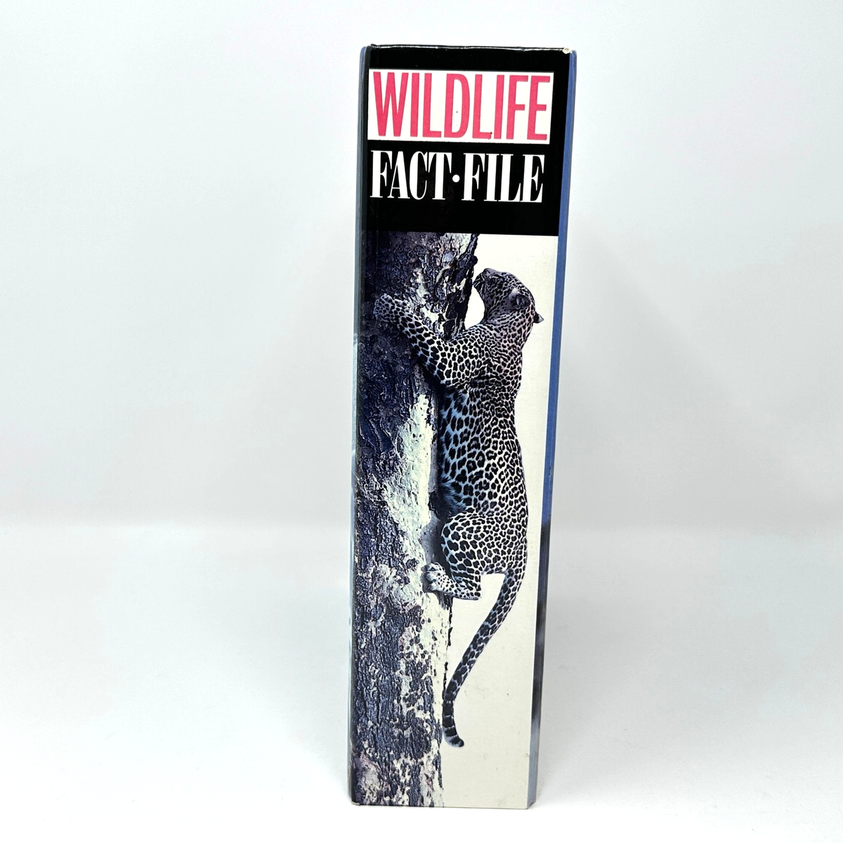Wildlife Fact File Ring Binder Reference Set Tabbed 65 Cards