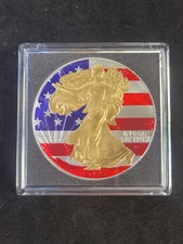 2025 American Silver Eagle U.S.A. Flag 1 oz 999 - Gold Gilded Stunning - America