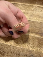 Integrity Toys ANNIVERSARY TWEED POPPY PARKER Jason Wu Fashion Royalty