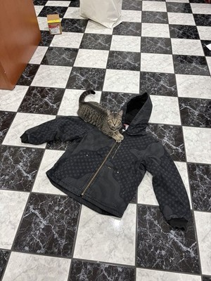 Supreme Flag Quilted Hooded Work Jacket (M) *IN-HAND, SAMEDAY