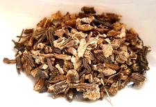 Angelica Root Wild Crafted Dried Cut / 4oz Freshly Packed USA