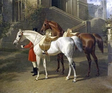 TAJAR AND HAMMON WHITE BROWN HORSES PAINTING ART BY JOHN FREDERICK HERRING REPRO