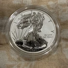 2021 W REVERSE PROOF SILVER EAGLE FROM DESIGNER SET ONE COIN IN CAPSULE TYPE 1