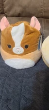 squishmallows