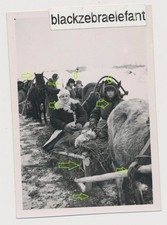 705- Foto wk2 Russische Bauern Familien mit Pferdeschlitten auf der Flucht