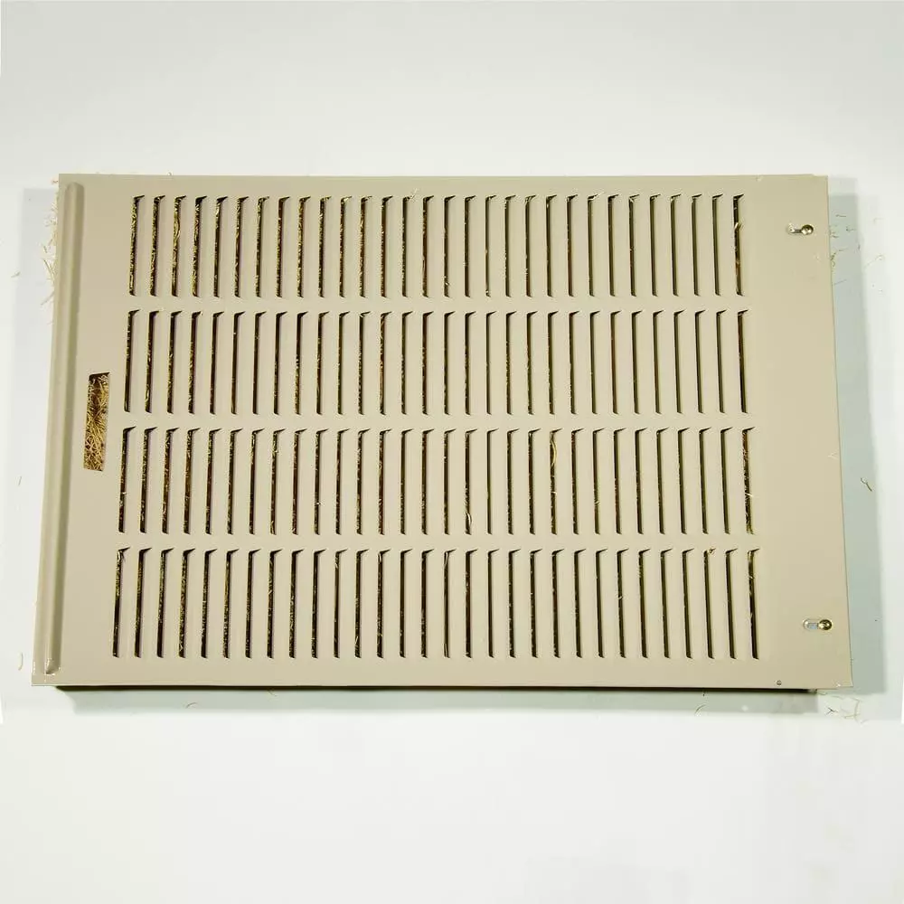 Champion hotsell cooler wc44