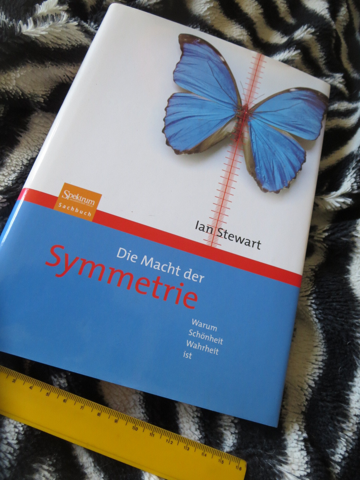 Die Macht der Symmetrie: Warum Schönheit Wahrheit