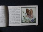 Picture 4 of 8