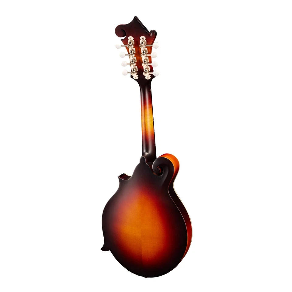 Eastman MD315E - Mandolina acústica/eléctrica estilo F con agujeros en F Foto 2 de 2