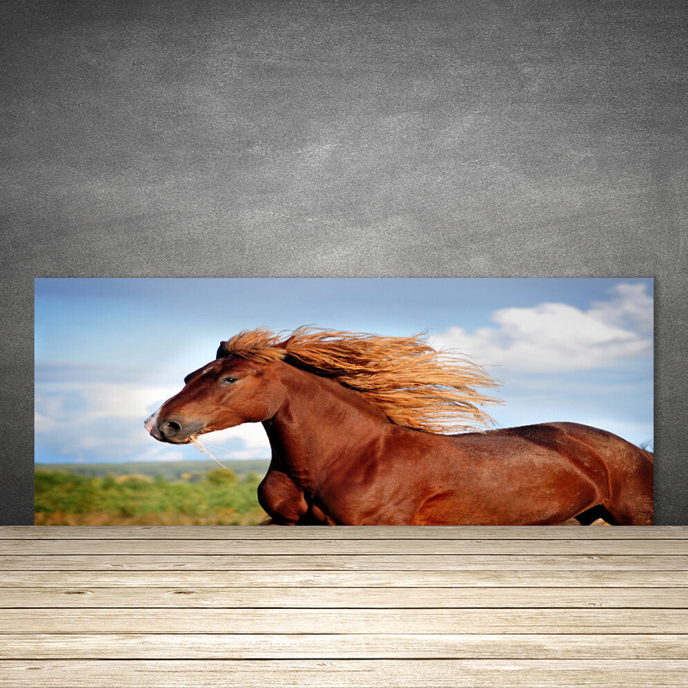 Crédence de cuisine en verre trempé 125x50 cm avec impression HD cheval majestueux