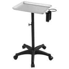 SmileMart Rolling Aluminum Salon Hair Tray Instrument for Beauty Spa, Silver