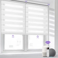 Motorized Zebra Blinds for Window with Remote, Compatible with Alexa, Smart Dual