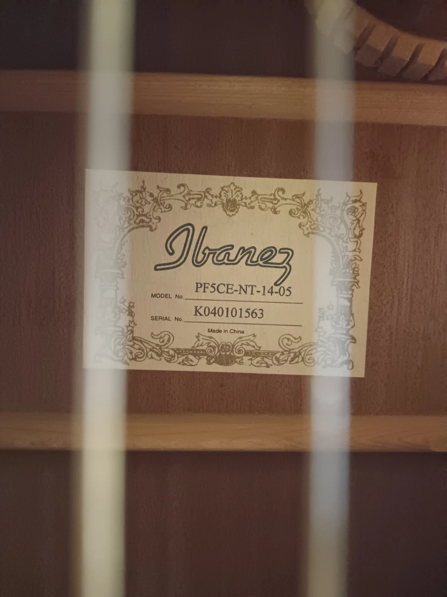 Ibanez pf5ce 2024