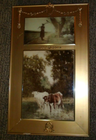 Picture 5 of 10