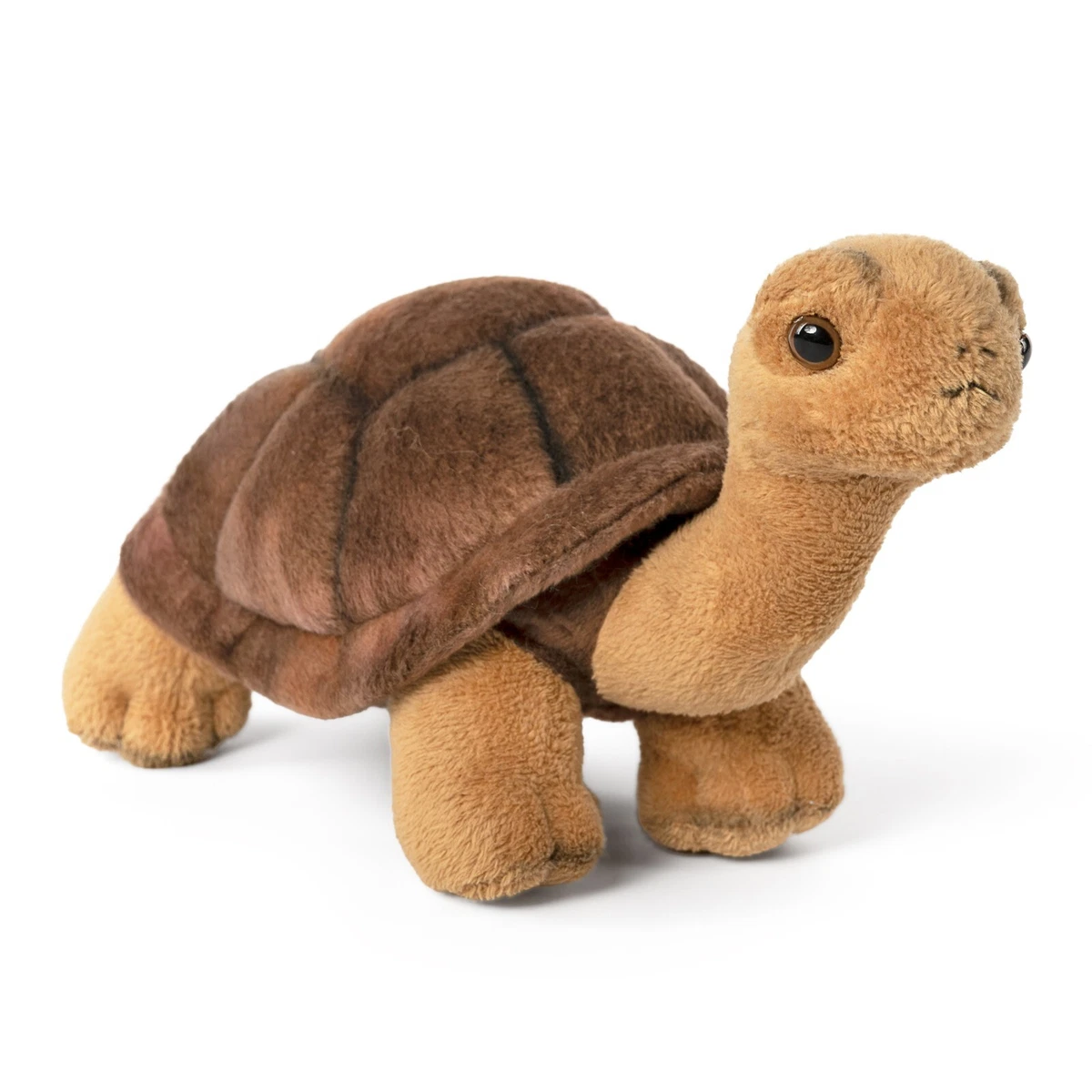 LIVING NATURE TORTOISE AN726 PLUSH CUDDLY SOFT TOY TURTLE TEDDY