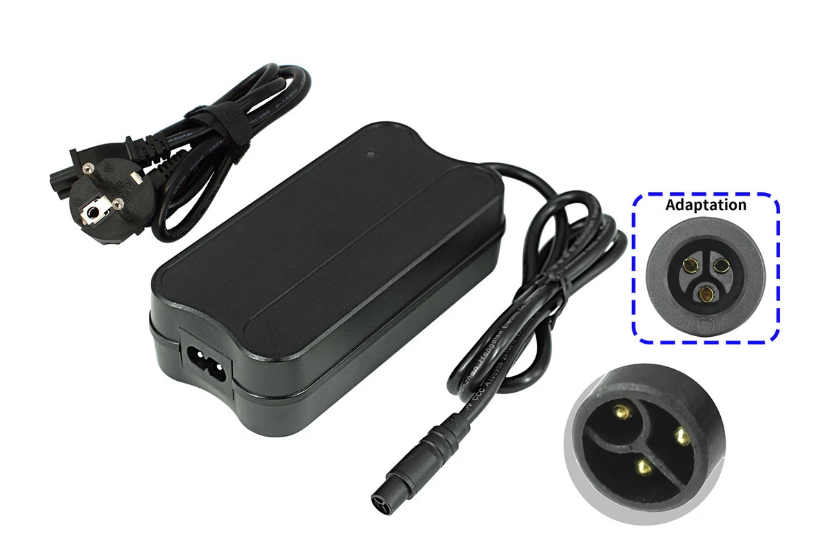 Batterie Vélo électrique Pour RALEIGH Stoker 40 - BMZ 25V 24Ah Lion - Neuve