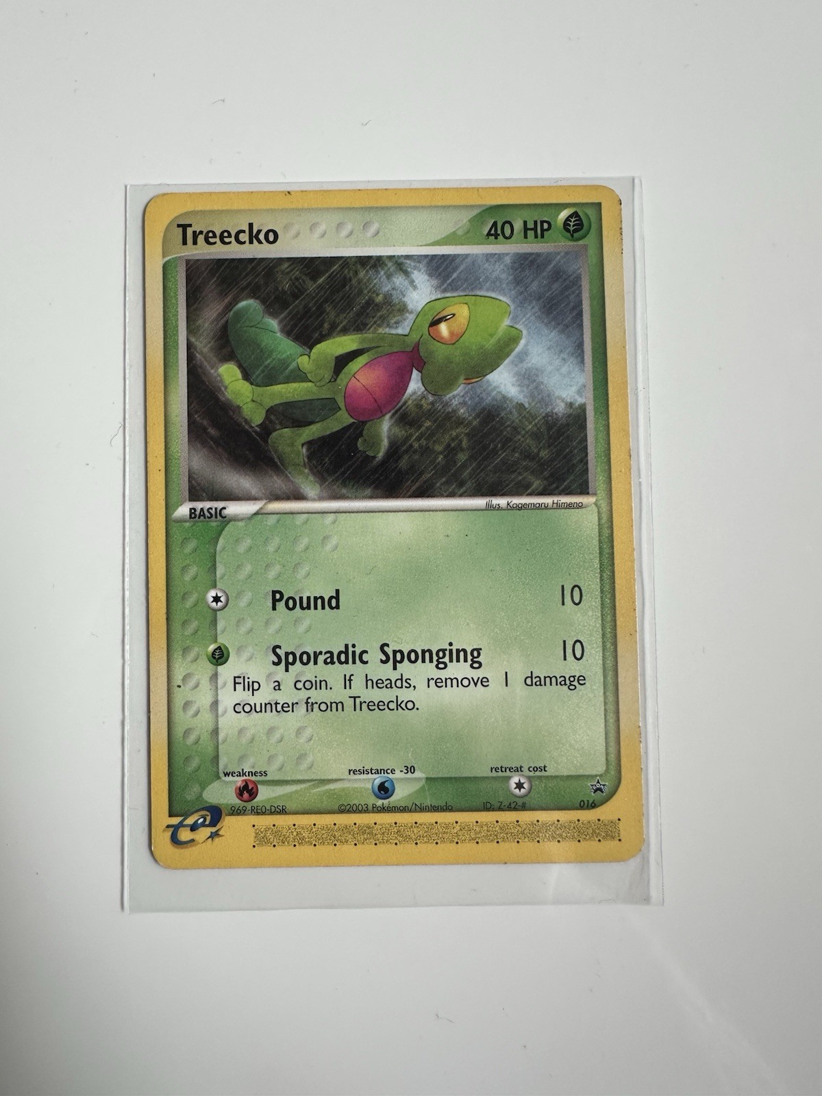 Pokémon TCG Treecko #016 Promo Card