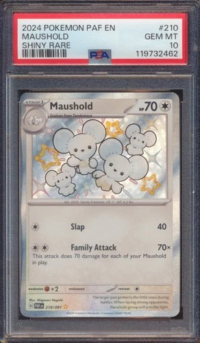 2024 POKEMON PALDEAN FATES MAUSHOLD #210 SHINY RARE PSA 10!