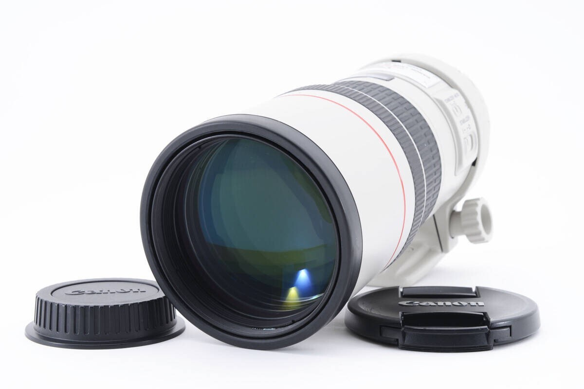 CANON EF 300mm F4L IS USM Telephoto Lens ULTRASONIC From