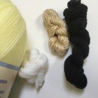 Bild 7 von 8
