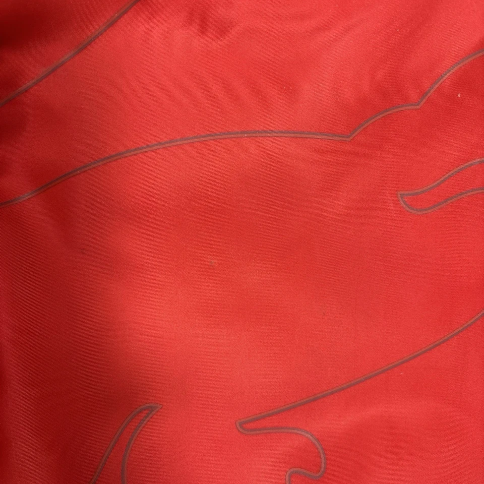 Mochila unisex con compartimento para computadora con logotipo rojo Lacoste Foto 2 de 4