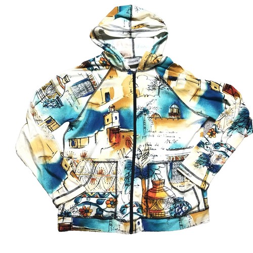 DESCENDANT HOODIE SIZE: 2 20AW DCDT LOGO SWEATSHIRT BARKLEY HOODED