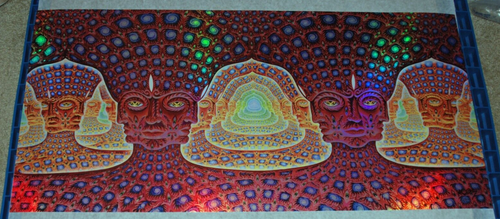 Alex Grey Net of Being Print Holographic Foil Art Print S/# 333 Tool Third Eye