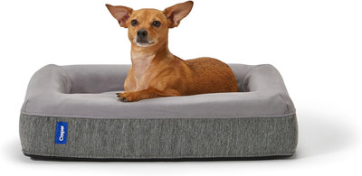 Dog Bed, Plush Memory Foam, Large, Gray