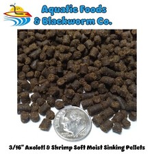 Rangen 20-lbs 3/16" Soft Moist Sinking Pellets Cichlid, Axolotl, Shrimp, Snails
