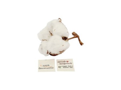 20 Textiletiketten aus Naturbaumwollband 100% Baumwolle -freie Pflegehinweise