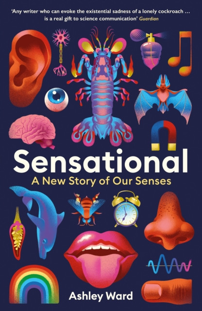 Sensational A New Story of our Senses by Ashley Ward (Hardback Book)