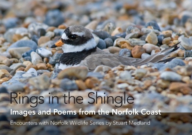 Rings in the Shingle Images and Poems from the Norfolk Coast (Hardback Book)