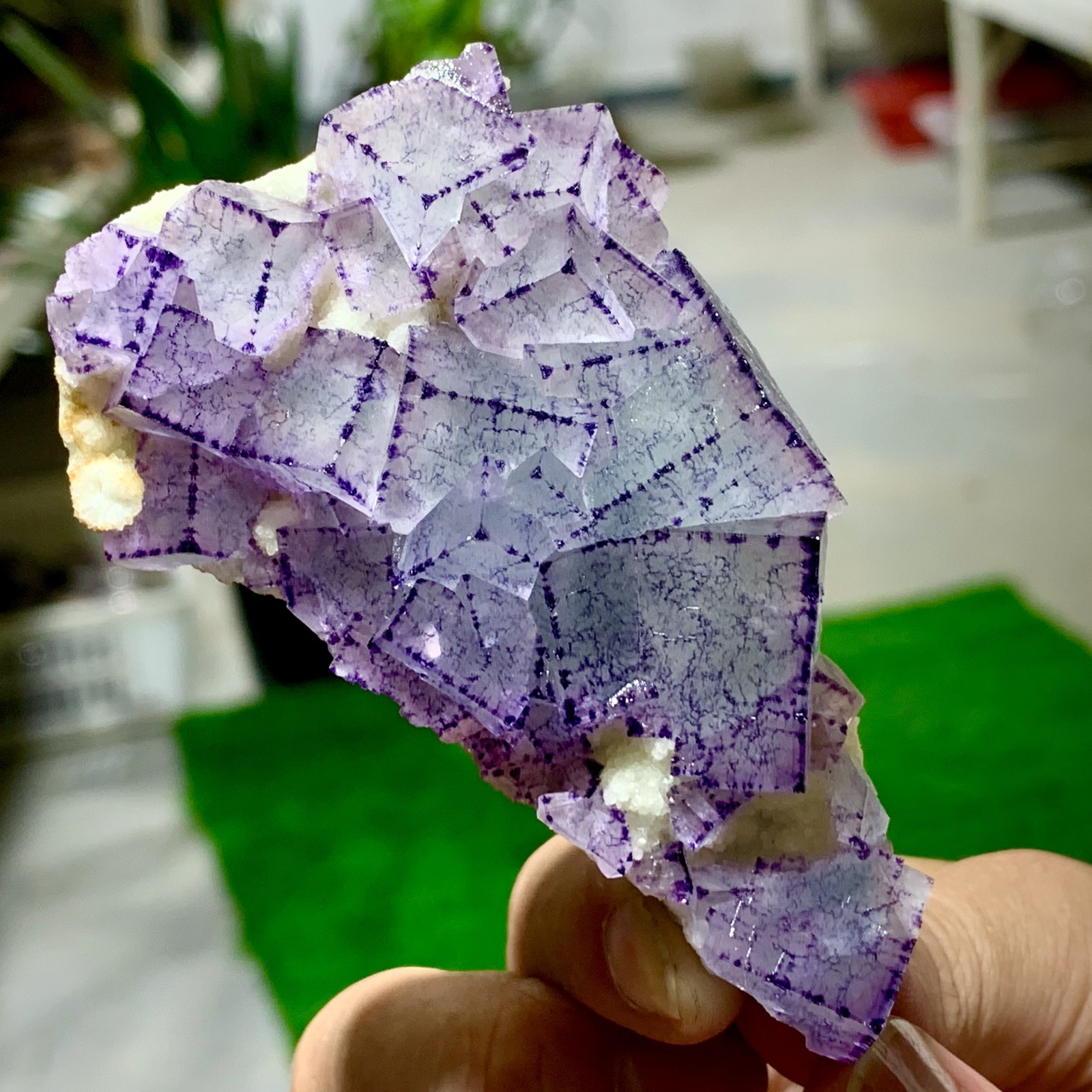 Natural Fluorite Crystal Sample in Purple Blue Green - 123G Yaogangxian Mineral