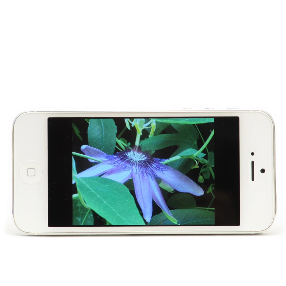 iPhone 5 Phones - 5 of 9