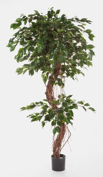 Artplants KüNstlicher Ficus Baum Exotica, 180Cm-image